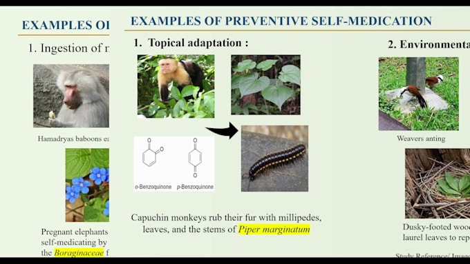 make stunning scientific ppts for you