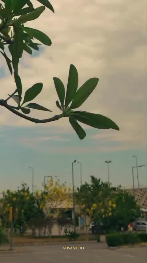 be your cinematic short video editor
