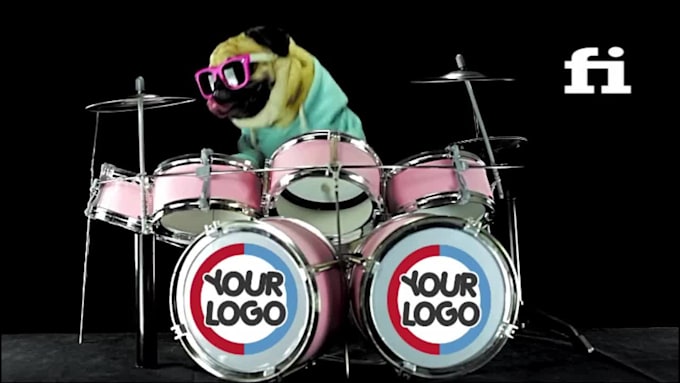 do this funny dj dog playing drum video ad