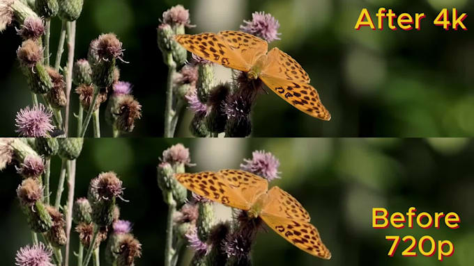upscale and enhance your video with ai