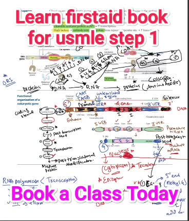 teach you firstaid for usmle step 1