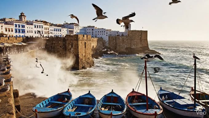 be your local assistant in essaouira, morocco