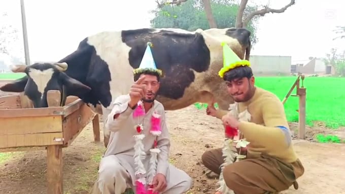 do happy birthday video or happy birthday