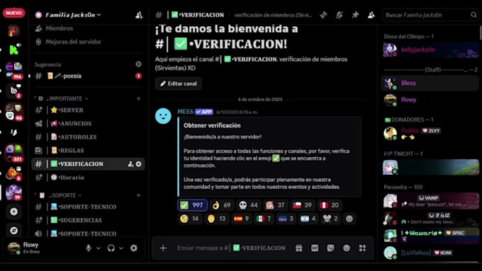 create and organize a professional discord server for your community
