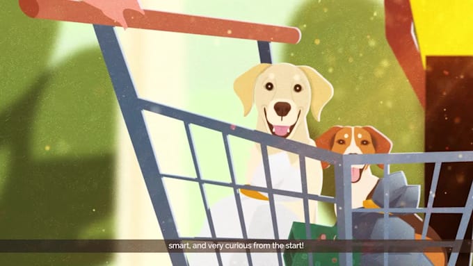 create a high quality business explainer animation video