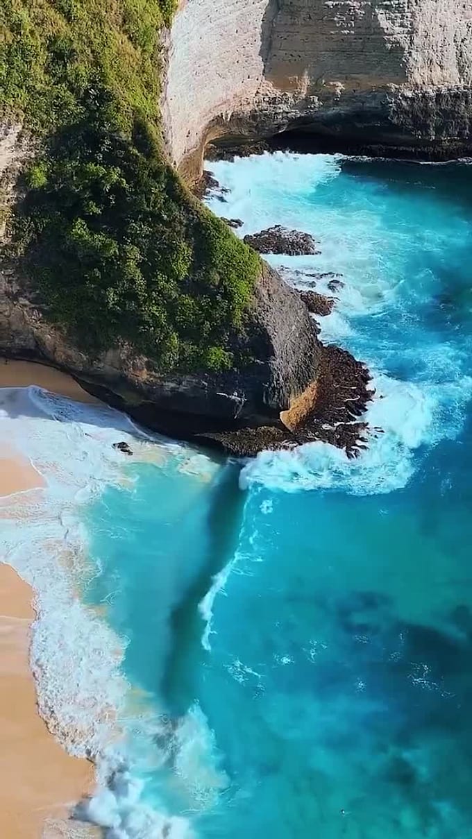 interesting holiday video clip