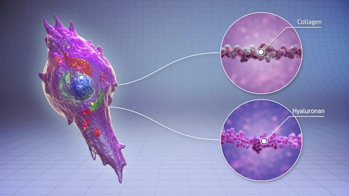 do 3d medical device explainer anatomy 3d surgery animation human body animation