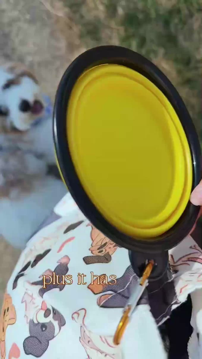 create engaging pet ugc videos for your pet brand