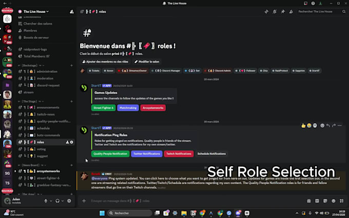 create you a perfect discord server for streamer