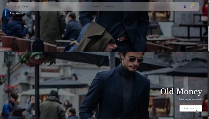 develop a modern react or next js frontend