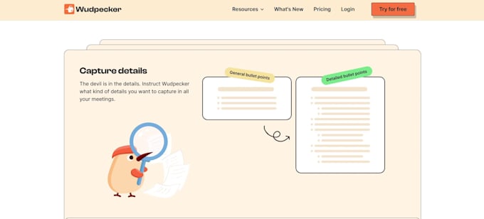 develop a professional webflow website, figma to webflow