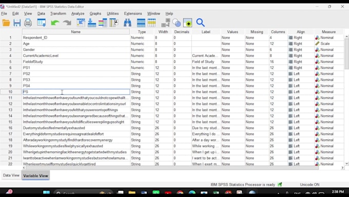 do professional spss data entry and coding