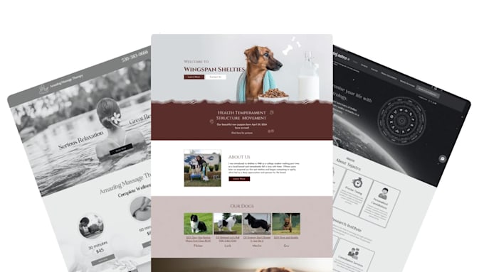 build wix ecommerce and company websites with modern features