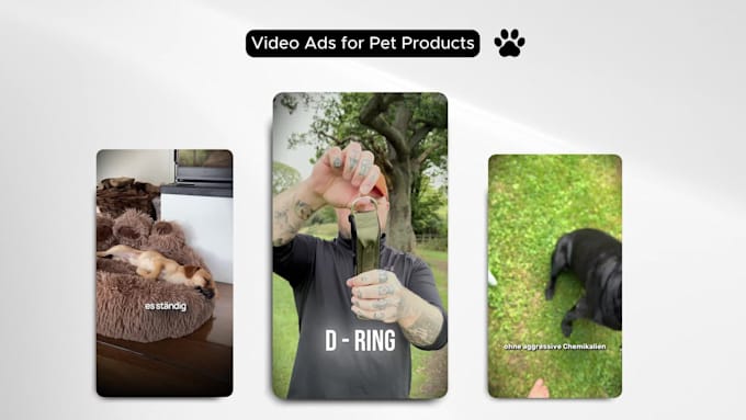 create pet products video ads for ecom brand shopify