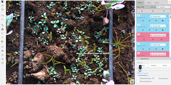 do image annotation and data labelling for CV and ai