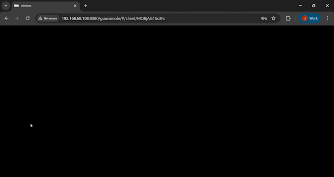 provide setup and troubleshooting on your guacamole