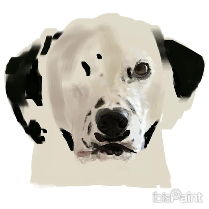 provide digital pet portraits