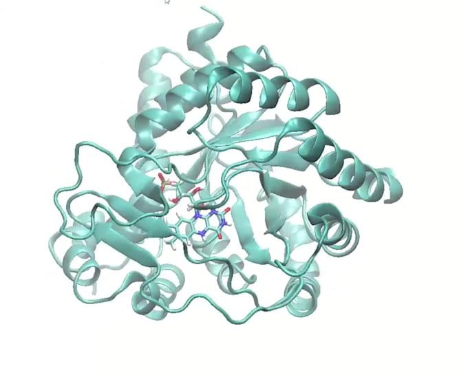 run up to 100ns molecular dynamics simulation of a protein ligand complex