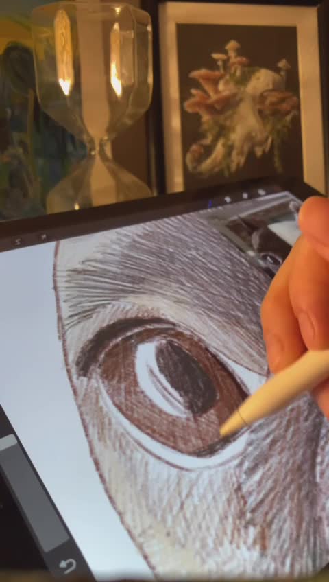 create a custom pet portrait illustration