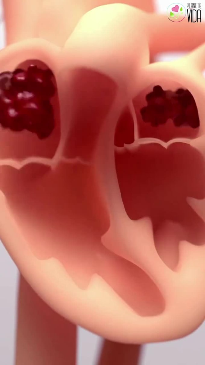 create simple 3d surgery and medical animation video