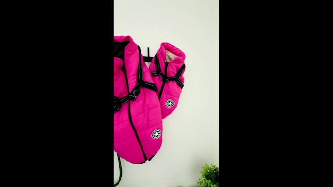create pet focused ugc videos for your brand