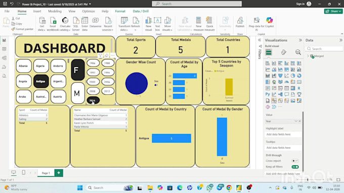 create professional power bi dashboard for business insights