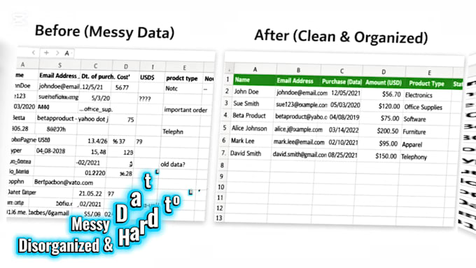 organize your data professionally