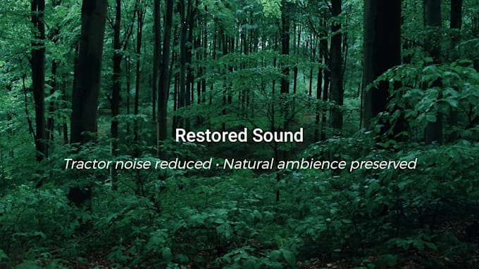 restore and clean up your field recordings