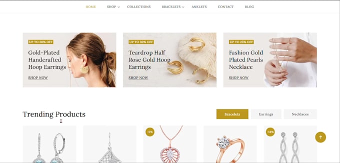 build a professional shopify ecommerce website store
