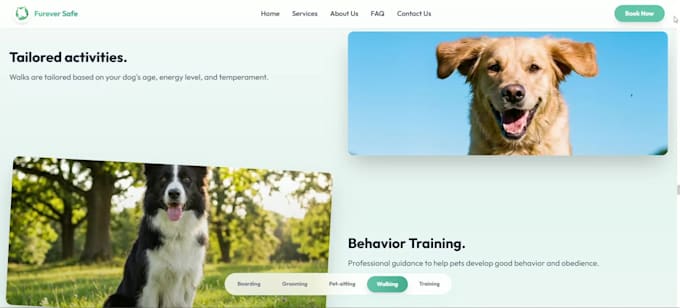 build websites, full stack, user interactive, engaging web dev