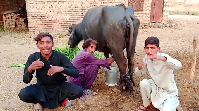do happy father day video