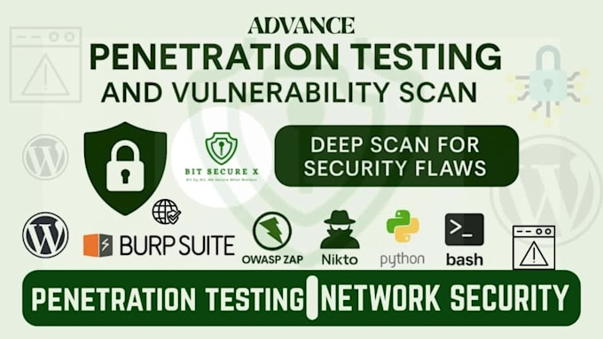 professional network penetration testing and advanced vulnerability assessment