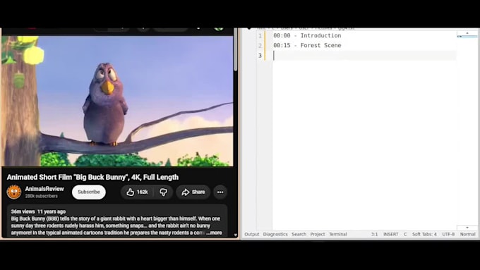 create professional youtube chapters and timestamps