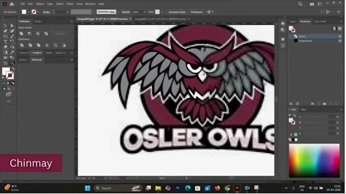 convert logo, sketch, or raster to vector
