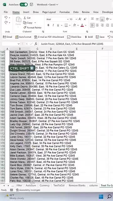 do data cleaning, data formatting and excel data data cleanup