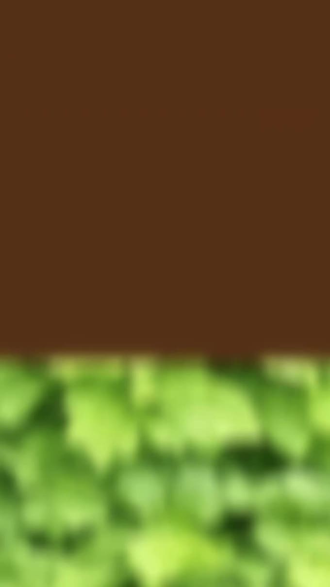 do 2d music reel animation