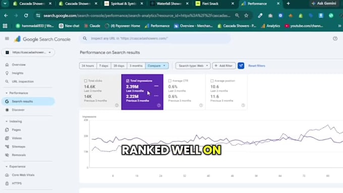 a professional shopify store with SEO optimization