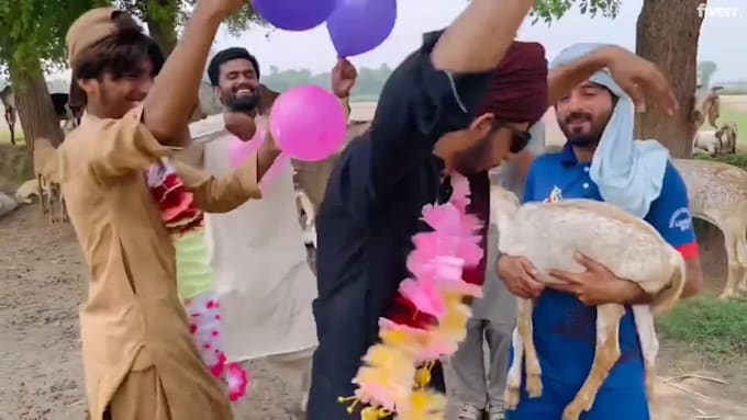 african happy birthday video african happy birthday video