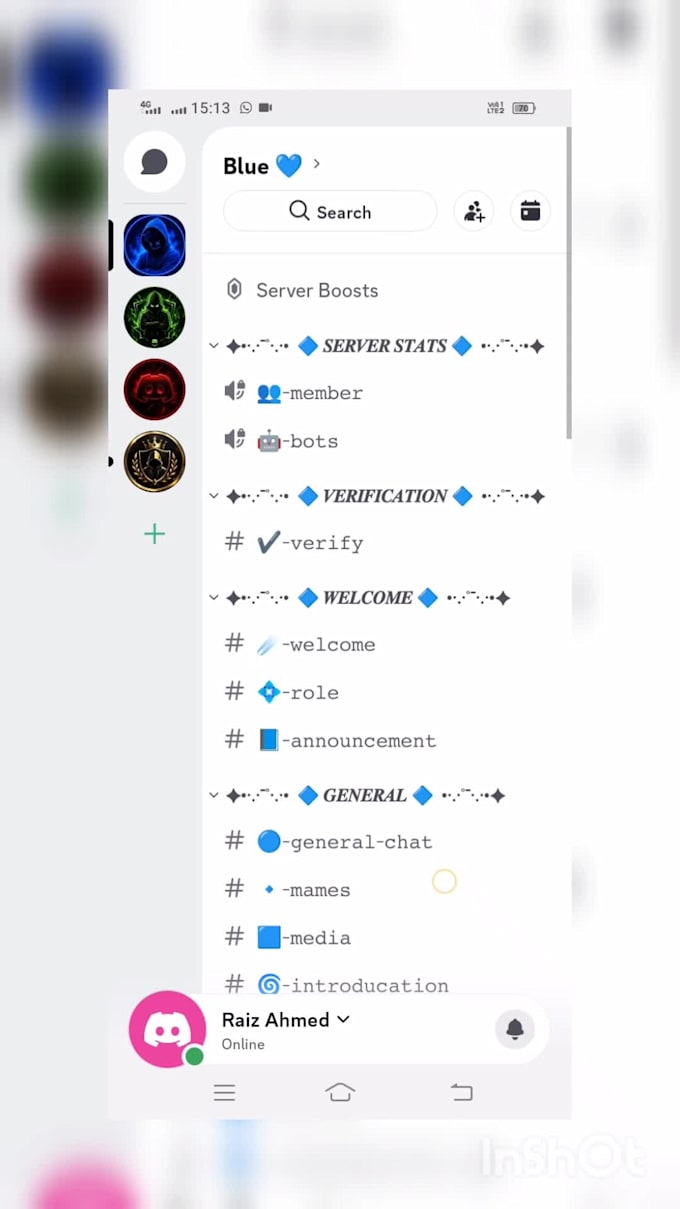 create a professional discord server setup with roles, bots, channels, and verif