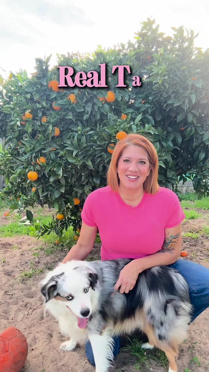 create pet ugc for tiktok, instagram, or facebook ads