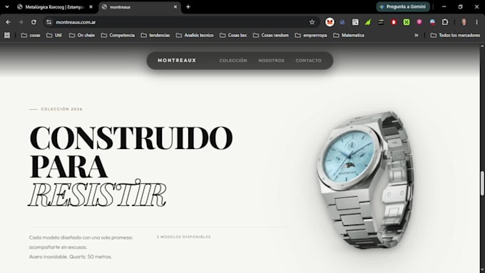 build a profitable ecommerce website and financial dashboard