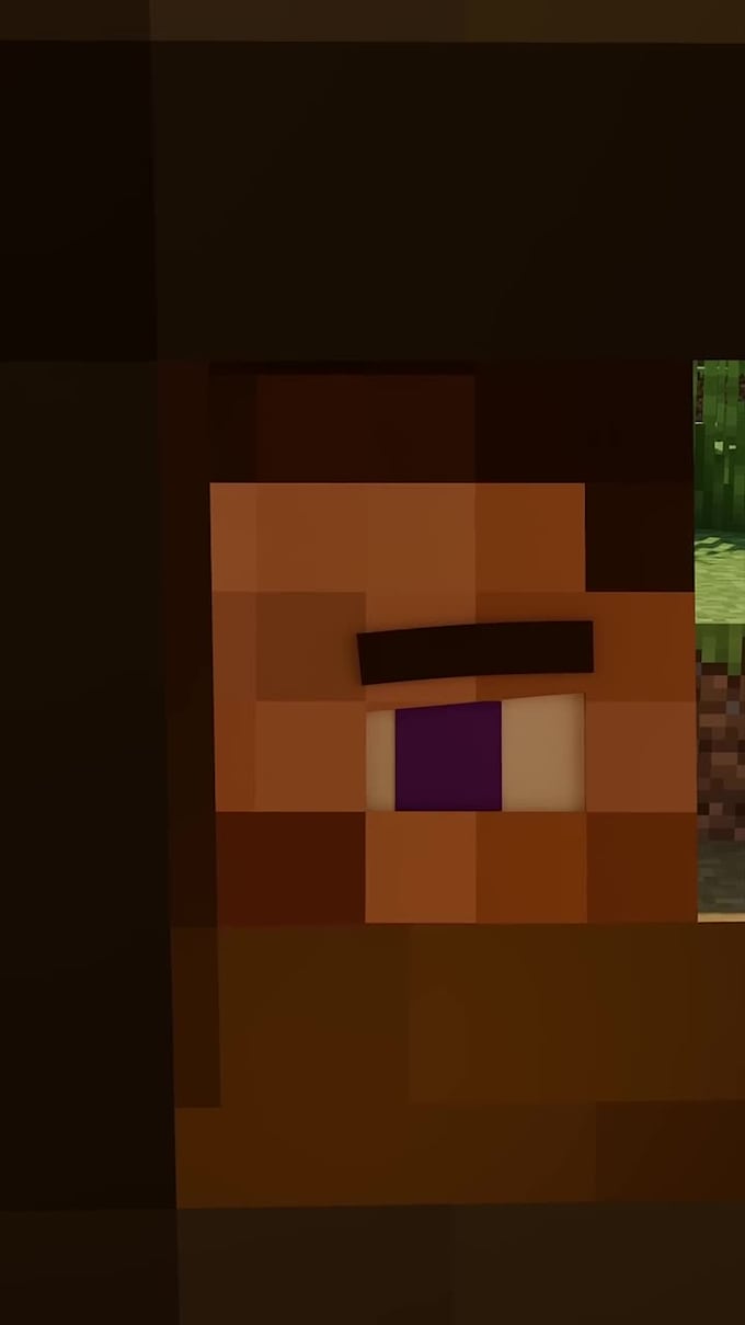 create a minecraft animation for you