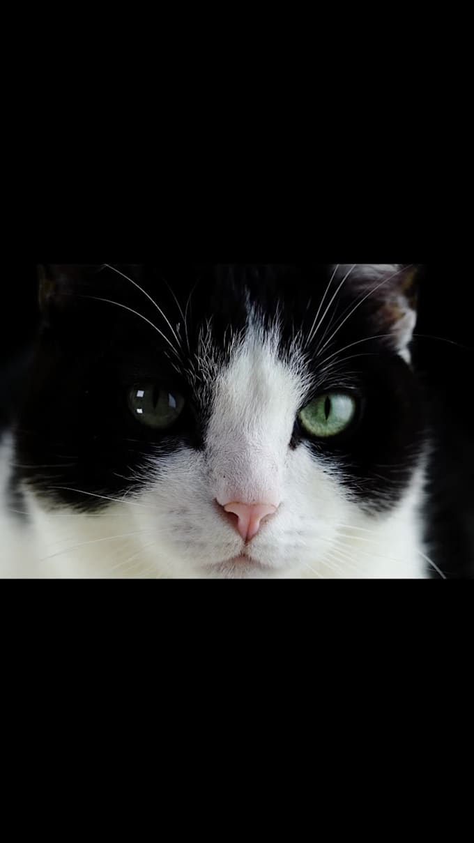 edit viral youtube shorts with hook and captions