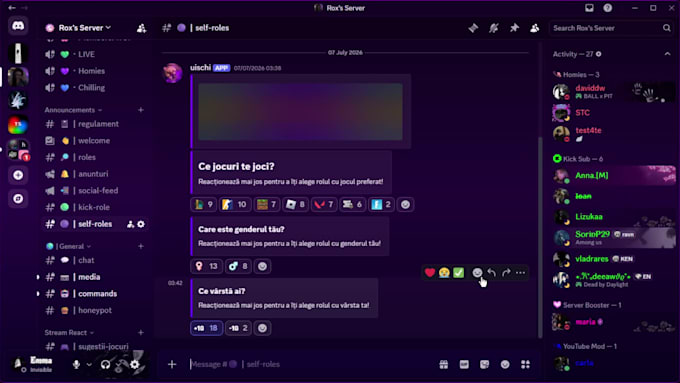 design and set up a professional discord server for you