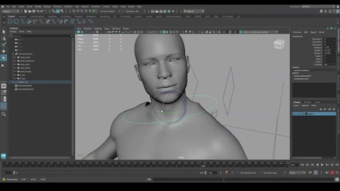 be 3d rigger, 3d humanoid rig, character skin weight paint,fix,rerig, blendshape