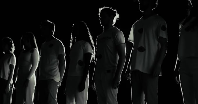 edit profesionally your music video