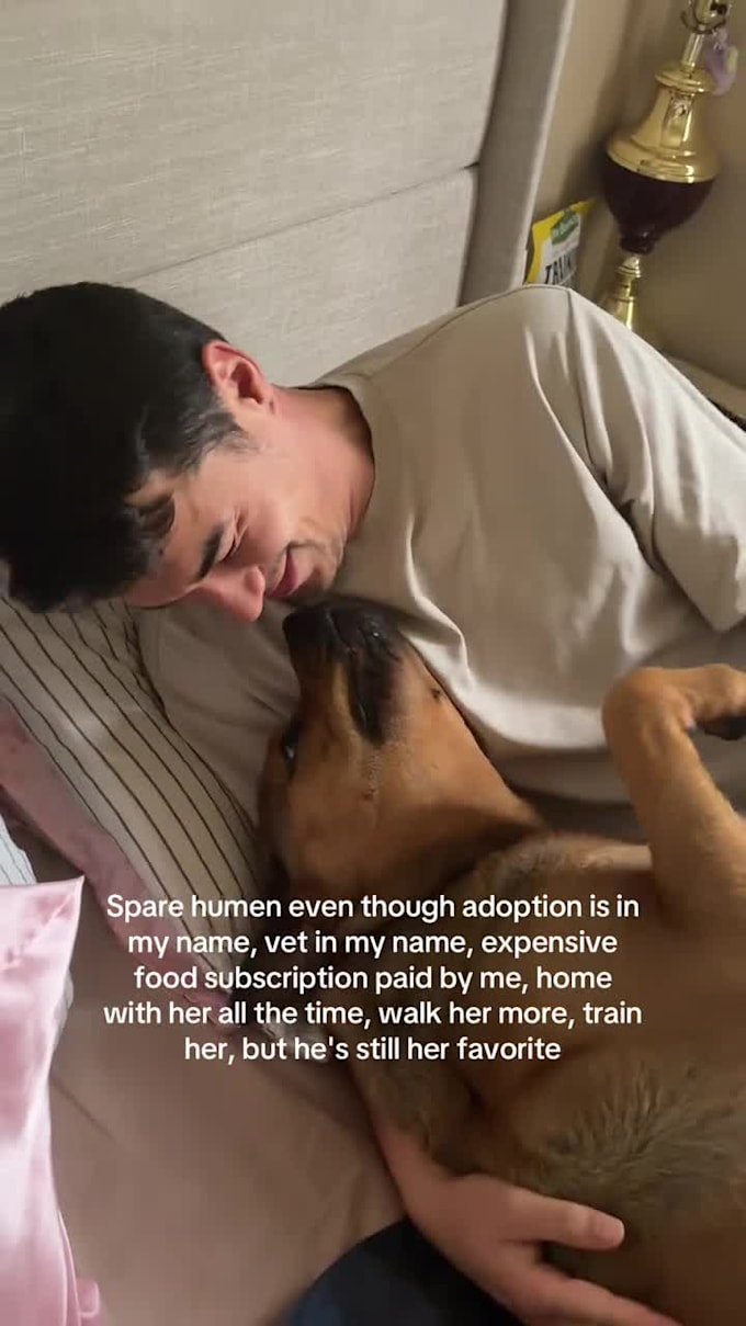 create high performance ugc couple videos tiktok ads, pet video