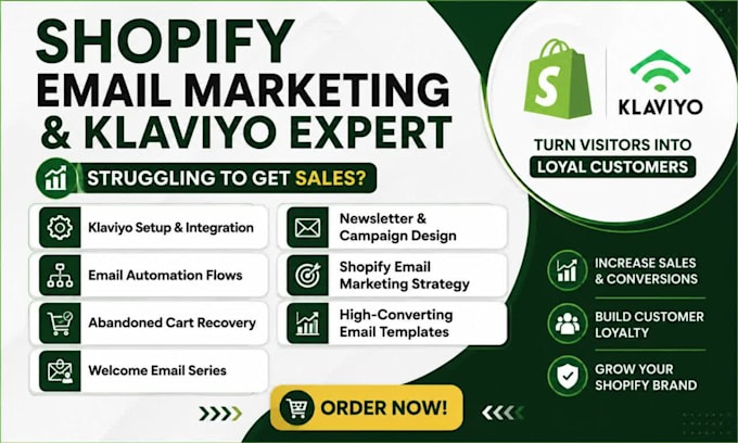 do klaviyo setup and shopify integration for your store