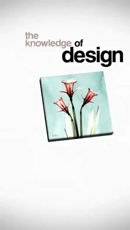 create stunning motion graphics and animated videos