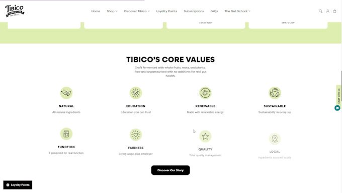 fix HTML CSS and javascript bugs in your website